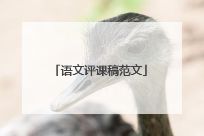 语文评课稿范文