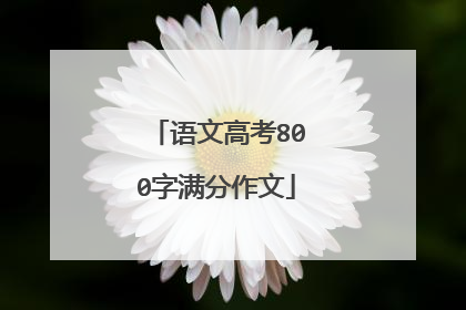 语文高考800字满分作文