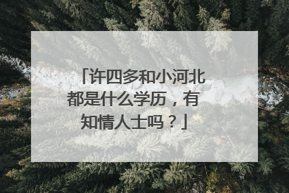 许四多和小河北都是什么学历，有知情人士吗？