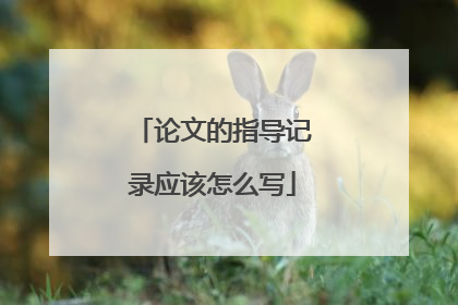 论文的指导记录应该怎么写