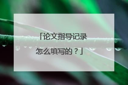 论文指导记录怎么填写的?