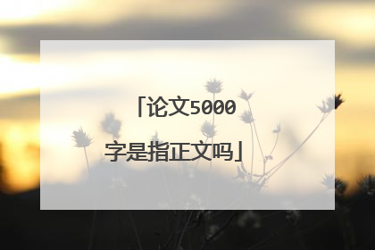 论文5000字是指正文吗