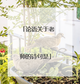论语关于老师的诗句是