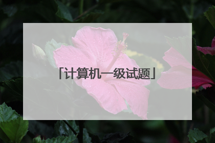 计算机一级试题