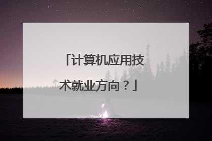 计算机应用技术就业方向？