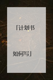 计划书如何写