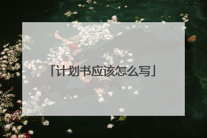 计划书应该怎么写