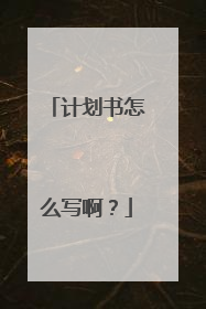 计划书怎么写啊?
