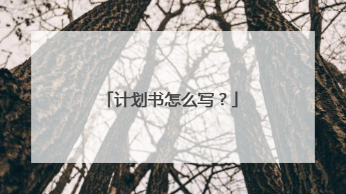 计划书怎么写?