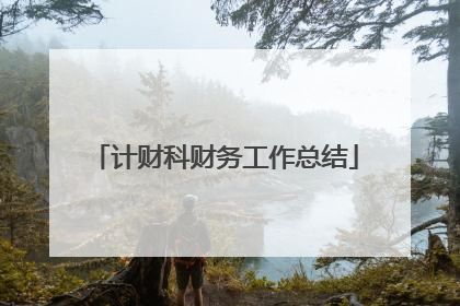 计财科财务工作总结
