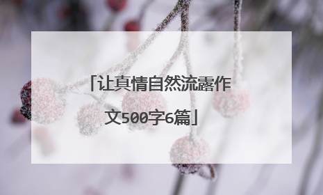 让真情自然流露作文500字6篇
