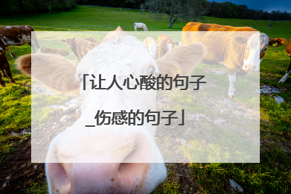 让人心酸的句子_伤感的句子