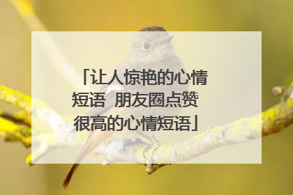 让人惊艳的心情短语 朋友圈点赞很高的心情短语