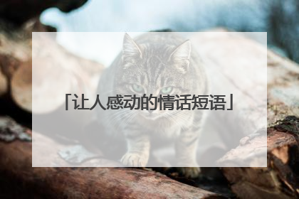 让人感动的情话短语