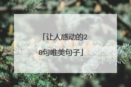 让人感动的20句唯美句子