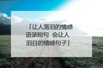 让人落泪的情感语录短句 会让人泪目的情感句子