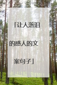 让人落泪的感人的文案句子