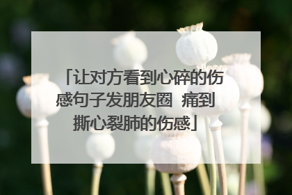 让对方看到心碎的伤感句子发朋友圈 痛到撕心裂肺的伤感