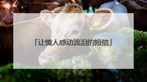 让情人感动流泪的短信