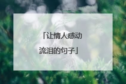 让情人感动流泪的句子