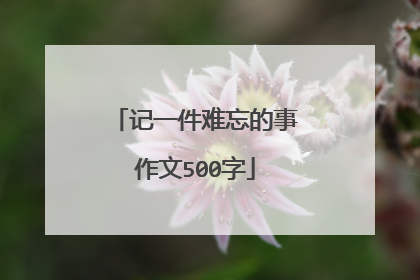 记一件难忘的事作文500字