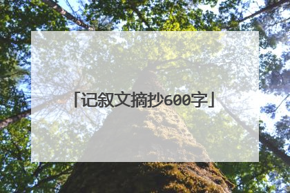 记叙文摘抄600字