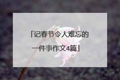 记春节令人难忘的一件事作文4篇