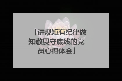 讲规矩有纪律做知敬畏守底线的党员心得体会