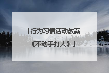 行为习惯活动教案《不动手打人》