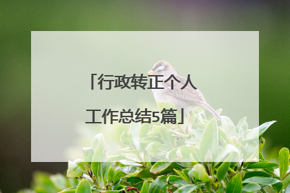 行政转正个人工作总结5篇