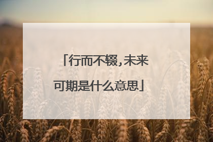 行而不辍,未来可期是什么意思