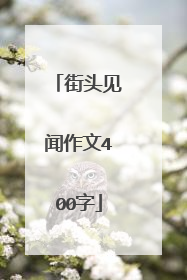 街头见闻作文400字