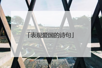 表现爱国的诗句