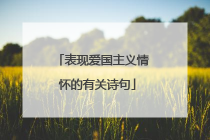 表现爱国主义情怀的有关诗句