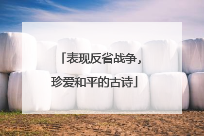 表现反省战争,珍爱和平的古诗