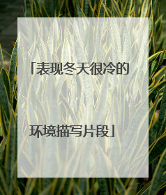 表现冬天很冷的环境描写片段