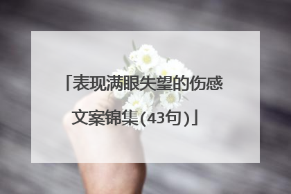 表现满眼失望的伤感文案锦集(43句)