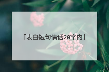 表白短句情话20字内