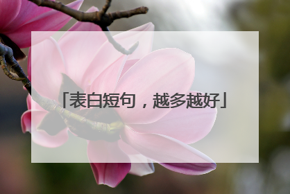 表白短句,越多越好