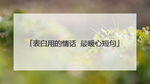 表白用的情话 最暖心短句