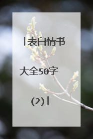 表白情书大全50字(2)