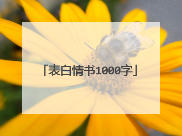 表白情书1000字