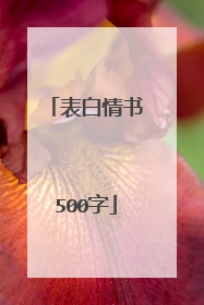 表白情书500字