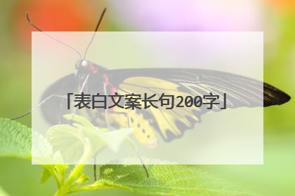 表白文案长句200字