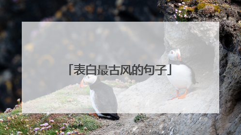 表白最古风的句子