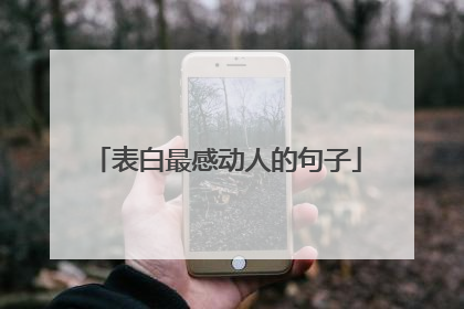 表白最感动人的句子