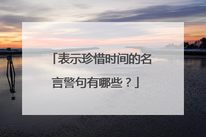 表示珍惜时间的名言警句有哪些？