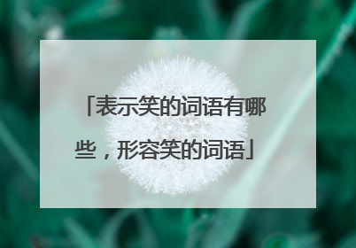 表示笑的词语有哪些，形容笑的词语