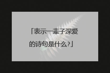 表示一辈子深爱的诗句是什么?