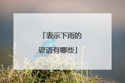 表示下雨的谚语有哪些